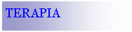 Cuadro de texto: TERAPIA