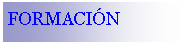 Cuadro de texto: FORMACIN
